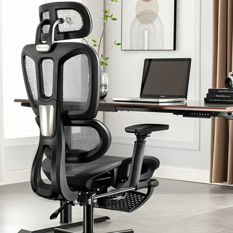 Ergonomic Office Chair