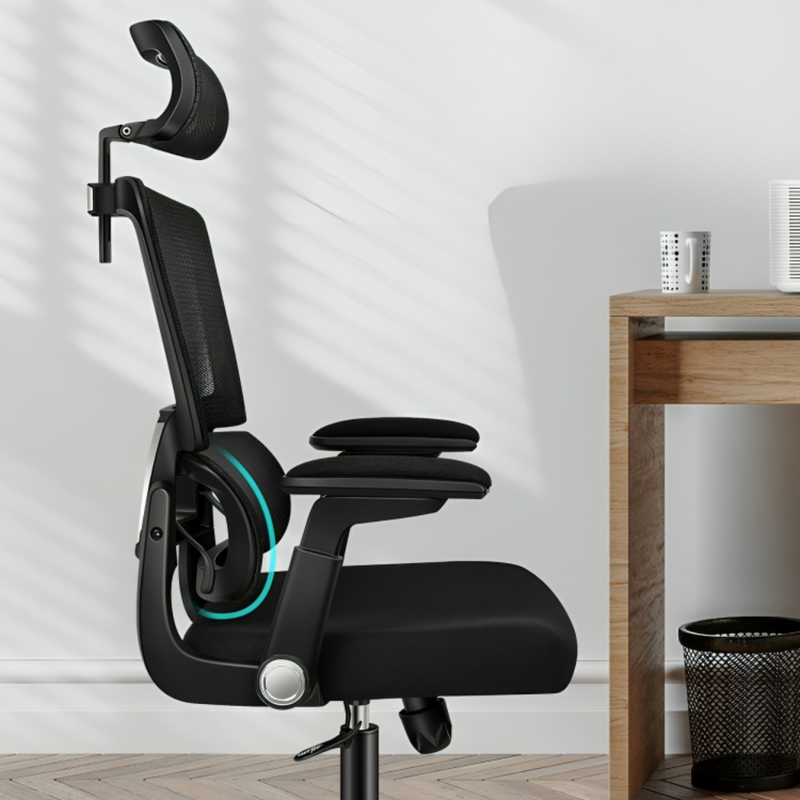 Ergonomic Office Chair